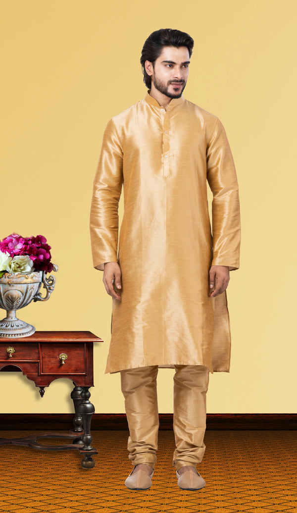 Angasudha Regal Beige Dupion Silk Kurta Pyjama Set
