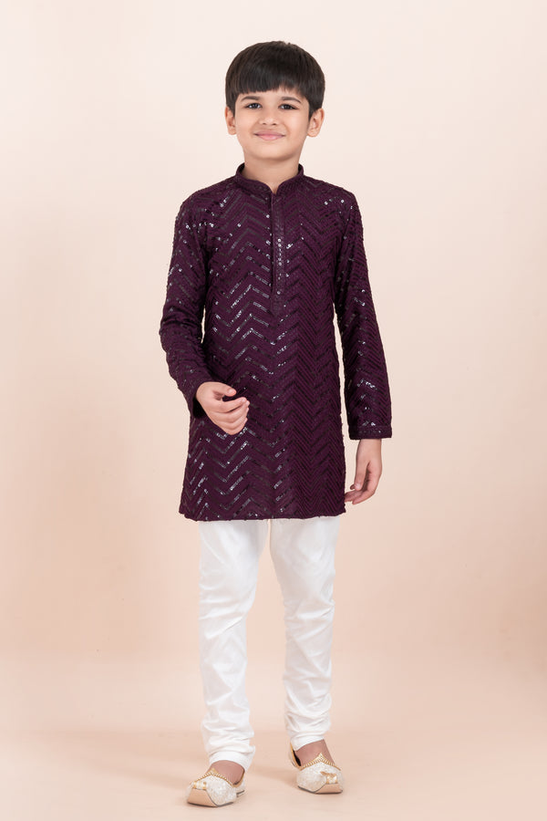 Angasudha Royal Wine Sequin Embroidered Kurta Set for Boys